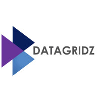 dataGridz logo - Similar company to Metagan Technologies