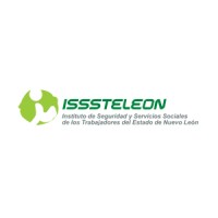 ISSSTELEON logo - Similar company to Talent Pro