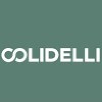 Colidelli İç ve Dış Ticaret Limited Şirketi logo - Similar company to 360 Digital
