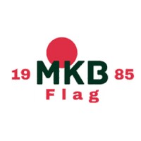 MKB Flag logo - Similar company to Vizer Llc