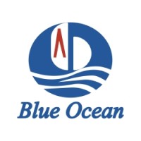 Blue Ocean Pipe logo - Similar company to Swan Seals Part Of Fpe Seals Ltd
