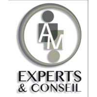 AM EXPERTS ET CONSEIL logo - Similar company to Elios Experts