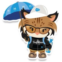 Salesforce Developer Group, Motihari, India logo - Similar company to Slackbear Technologies