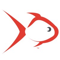 Fish Farm Studio Llc