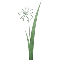 Flowering Lawn