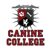 Canine College logo - Similar company to College Canine
