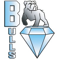 Bulls logo - Similar company to Proeza-Original Marroquinaria Lda.