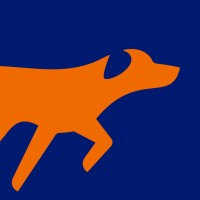 BrillDog logo - Similar company to Results Repeat Digital Marketing