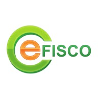 Efisco logo - Similar company to Survalyzer Ag
