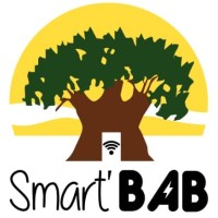 Smart'BAB logo - Similar company to Jmj Academy Côte D'Ivoire