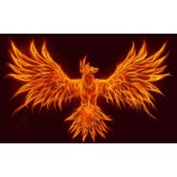 Phoenix Consulting logo - Similar company to Special Work And Technology