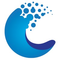 Clear Direction Investments LLC logo - Similar company to Acadia Leadership Partners Inc