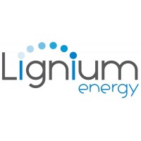 Lignium Energy logo - Similar company to Faind