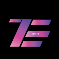 The Elites logo - Similar company to Techvrikshah