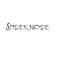 Spider Node logo - Similar company to Pethaamma Corporation