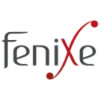 Fcs [Fenixe Consulting Services]