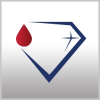 Diamond Diagnostics Inc. logo - Similar company to Venu: Find Things To Do