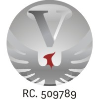 VIRTUSSO INSURANCE BROKERS LIMITED logo - Similar company to Synegytech Solutions Ltd.