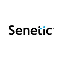Senetic logo - Similar company to Ipb Decoration