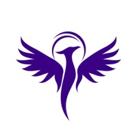 Shamanic Leadership logo - Similar company to Boec | Dé Financiële Partner Voor Zorgorganisaties