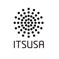 IT Solutions USA, Corp. logo - Similar company to It Solutions Usa