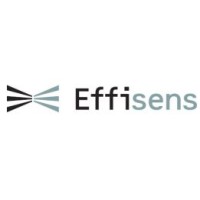EFFISENS CONSEIL logo - Similar company to Co-Effisens
