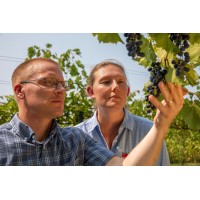 Staller Estate Winery