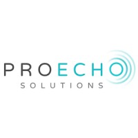 Proecho Solutions logo - Similar company to Code Lineup Technologies