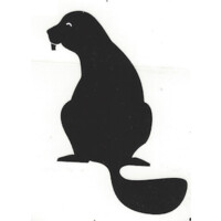 MIT Beaver Works Summer Institute logo - Similar company to Student Engineering Alliance