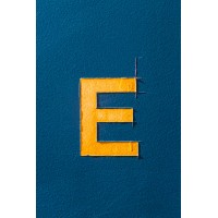 Elevated Consulting