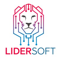 Lidersoft MMC logo - Similar company to Roaswizards