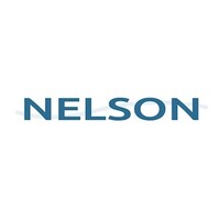 Nelson Srl logo - Similar company to Point Nine Four Consulting