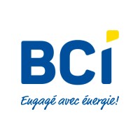 BCI logo - Similar company to Domuneo