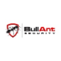 BullAnt Security logo - Similar company to North Star Security