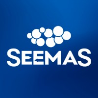 SeemaS logo - Similar company to Datometry