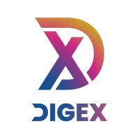 Digex SRL logo - Similar company to 4 Technologies S.R.L.