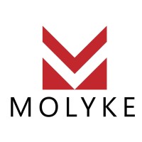 Molyke Digital Technology Co., Ltd logo - Similar company to Red T Group