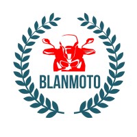 Blanmoto Honda - Girona i Blanes logo - Similar company to Sys Servicios