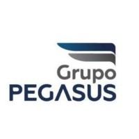 Pegasus Veículos Ltda logo - Similar company to Amazon Volkswagen