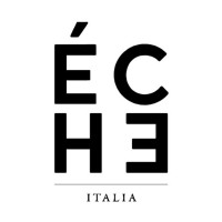 ÉCHE logo - Similar company to Digital Facility