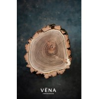 Vena Copenhagen logo - Similar company to St. Leo