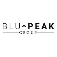 BluPeak Group logo - Similar company to Go/Do