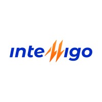 Intelligo logo - Similar company to Syject Company