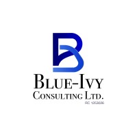 Blue-Ivy Consulting Limited logo - Similar company to Plugin