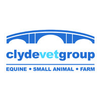 Clyde Vet Group logo - Similar company to Forth Valley Vets