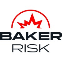 BakerRisk logo - Similar company to Trinus Engineering