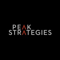 Peak Strategies logo - Similar company to Peak Strategy