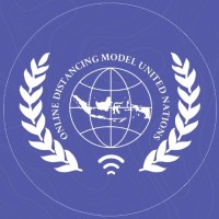 Online Distancing Model United Nations logo - Similar company to International Relations English Competition (Irec)