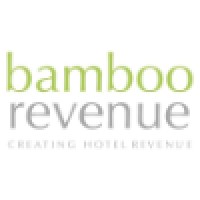 Bamboo Revenue logo - Similar company to Representation Plus