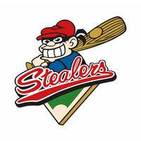Baseballclub Hamburg Stealers e.V.